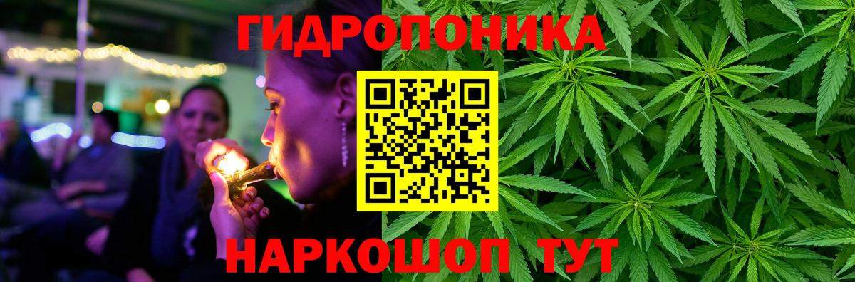 Конопля Bruce Banner  Вход с VPN  Бошки марихуана ГИДРОПОН  Марихуана марихуана  Марихуана план  Щёлково 